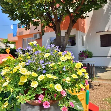 In Zadar/zadar Riviera 8193 Апартаменты *